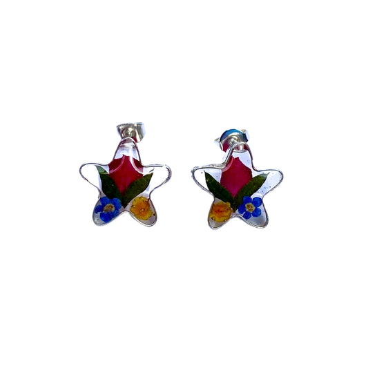 Aretes Bingley